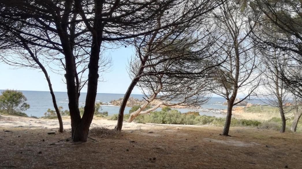 Bouganville Residence Isola Rossa Dış mekan fotoğraf